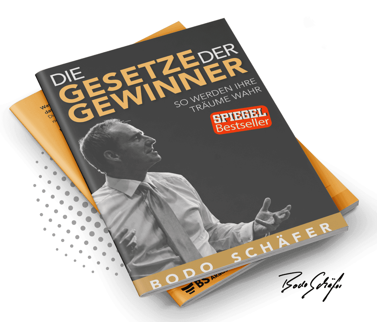 Cover: Die Gesetze der Gewinner