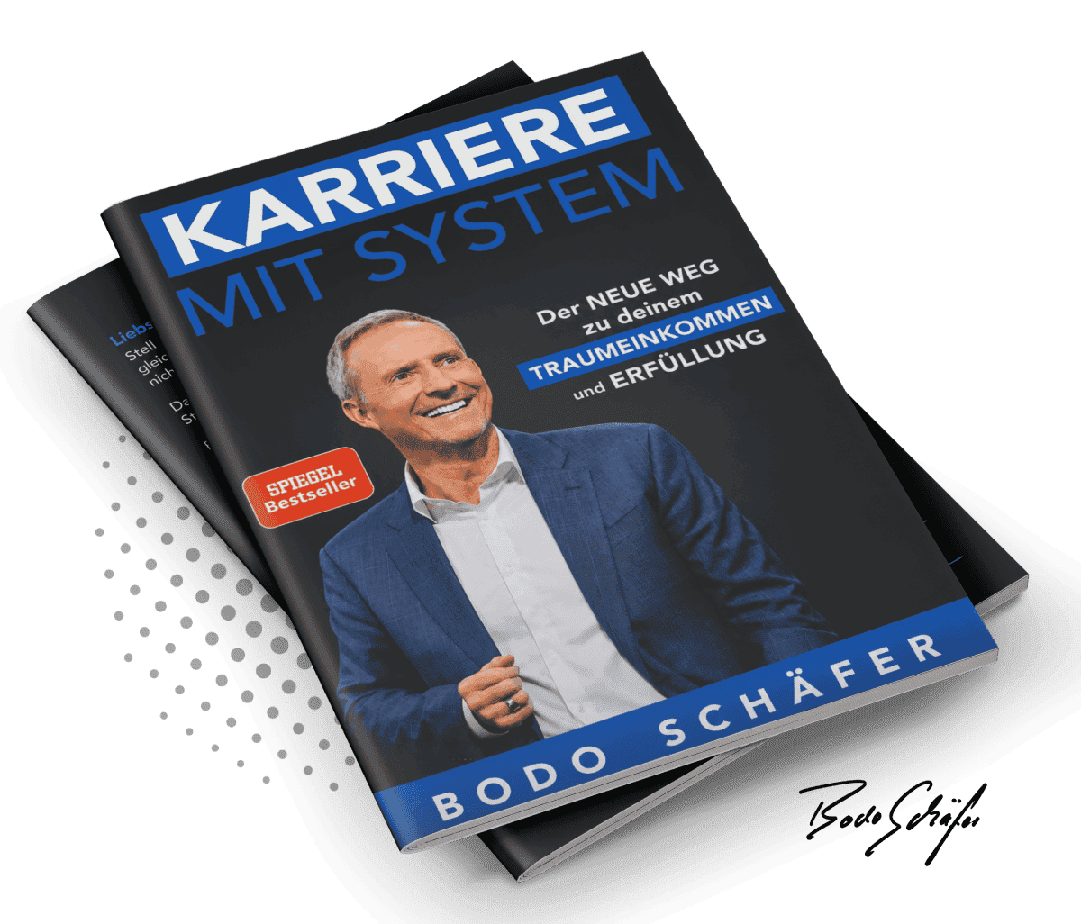 Cover: KARRIERE MIT SYSTEM